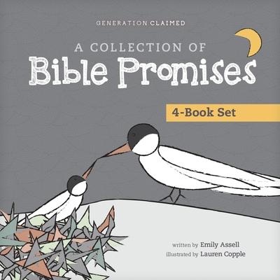 A Collection of Bible Promises 4-Book Set: When It Hurts / You Are / Tonight / Chosen Subscription