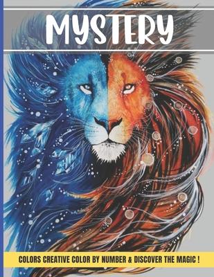 Mystery colors creative color by number & discover magic: Large Print Stress Relieving Patterns Color by Number Adult Coloring Book Mystery Color