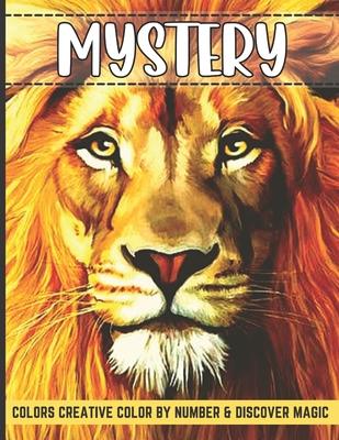 Mystery colors creative color by number & discover magic: Stress Relieving Patterns Color by Number Adult Coloring Book Mystery