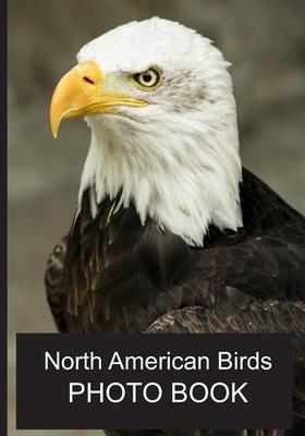 North American Birds Photo Book: 40 Different Bird Photos With Identification Names For Alzheimer & Dementia Patients To Help With Memories and Memory