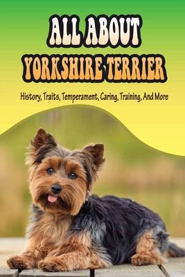 All About Yorkshire Terrier: History, Traits, Temperament, Caring, Training, And More: At What Age Can You Start Training A Yorkie Puppy?