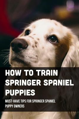 How To Train Springer Spaniel Puppies: Must-Have Tips For Springer Spaniel Puppy Owners: Raising A Springer Spaniel Puppy