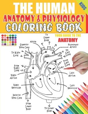 The Human Anatomy and Physiology Coloring Book: 50+ illustrations in an Activity coloring book for kids and teens, Great christmas, thanksgiving, birt