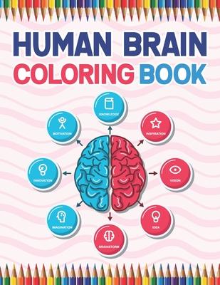 Human Brain Coloring Book: The Human Brain Coloring Book. Human Brain Model Anatomy, Human Brain Diagram, Human Brain Art, Human Brain and Human