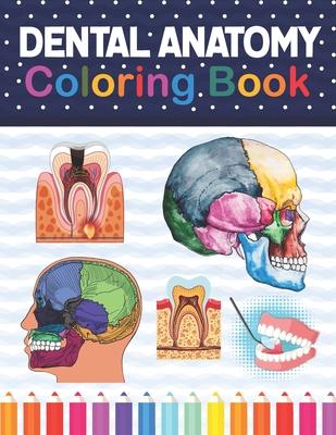 Dental Anatomy Coloring Book: Fun and Easy Adult Coloring Book for Dental Assistants, Dental Students, Dental Hygienists, Dental Therapists, Periodo