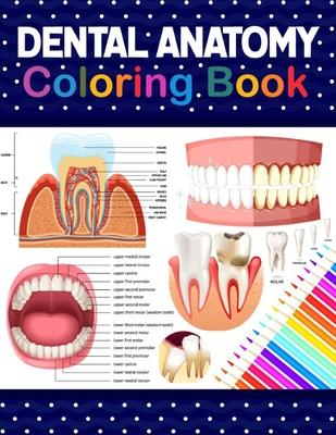 Dental Anatomy Coloring Book: Learn the Basics of Dental Anatomy. Dental Anatomy Coloring Book for Cute Children's, Kids, Boys, Girls, Dental Assist