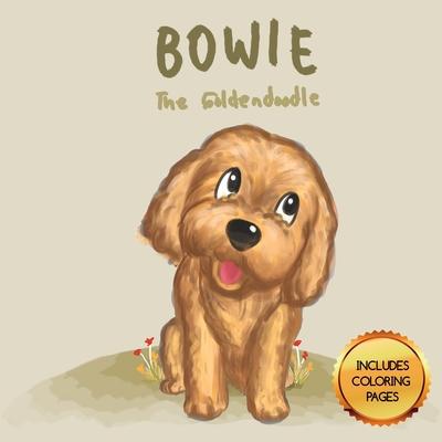 Bowie - The Goldendoodle