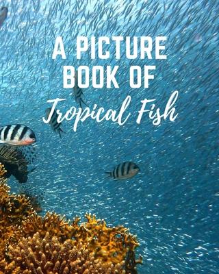 A Picture Book of Tropical Fish: Activity Books for Seniors With Dementia- Gift Book for Seniors With Alzheimer's in Large Print