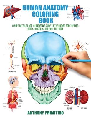 Human Anatomy Coloring Book: A Very Detailed and Informative Guide to the Human Body: Nerves, Bones, Muscles, and How to the Work