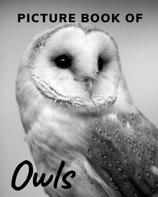 Picture Book of Owls: The Picture Book for Alzheimer's Patients and Seniors with Dementia.