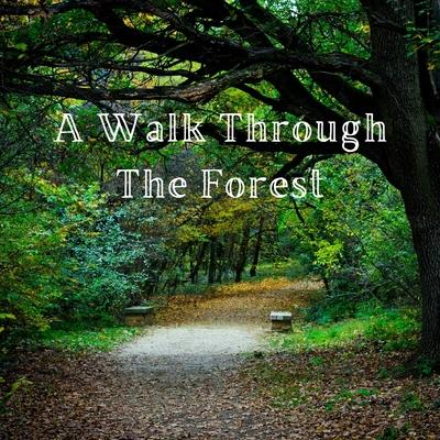 A Walk Through the Forest: A Beautiful Nature Picture Book for Seniors With Alzheimer's or Dementia. This Makes a Wonderful Gift for an Elderly P