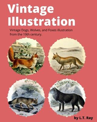 Vintage Illustration: Vintage Dogs, Wolves, and Foxes illustration from the 19th century.