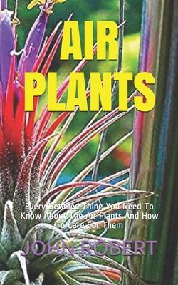 Air Plants: Every Detailed Thing You Need To Know About The Air Plants And How To Care For Them