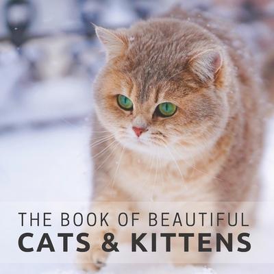 The Book of Beautiful Cats & Kittens: Picture Book For Seniors With Dementia (Alzheimer's)