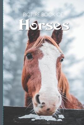 Picture Book Of Horses: Large Print Book For Seniors with Dementia or Alzheimer's