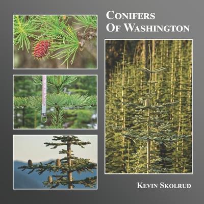 Conifers of Washington