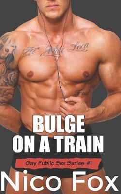 Bulge on a Train: A Gay Public Sex Story