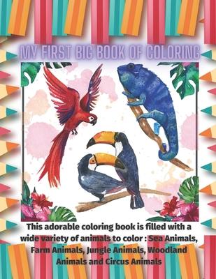 My First Big Book of Coloring - This adorable coloring book is filled with a wide variety of animals to color: Sea Animals, Farm Animals, Jungle Anima