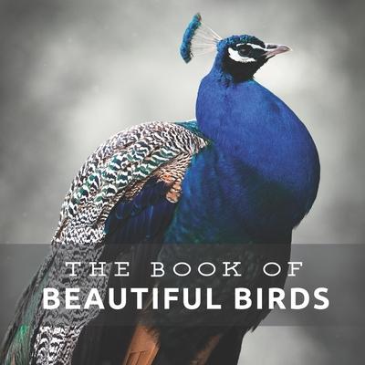 Beautiful Birds: Picture Book For Seniors With Dementia (Alzheimer's)