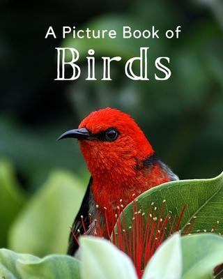 A Picture Book of Birds: A Beautiful Picture Book for Seniors With Alzheimer's or Dementia. A Perfect Gift For Bird Lovers!