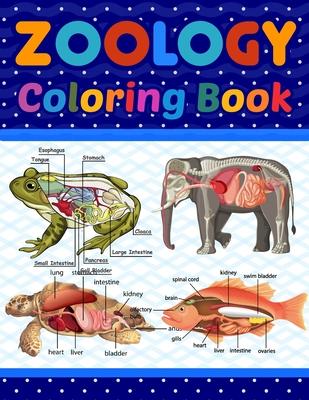 Zoology Coloring Book: Medical Anatomy Coloring Book for kids Boys and Girls. Zoology Coloring Book for kids. Stress Relieving, Relaxation &