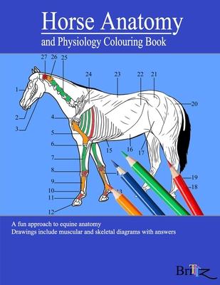 Horse Anatomy and Physiology Colouring Book: A Detailed Guide to Equine Anatomy with Answers Perfect Gift for Veterinary Students, Animal lovers, Adul