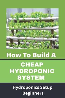 How To Build A Cheap Hydroponic System: Hydroponics Setup Beginners: Compact Hydroponics