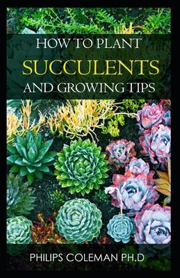 How to Plant Succulents and Growing Tips