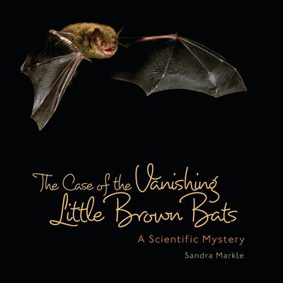 The Case of the Vanishing Little Brown Bats: A Scientific Mystery