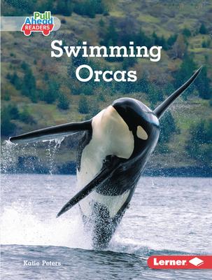 Swimming Orcas