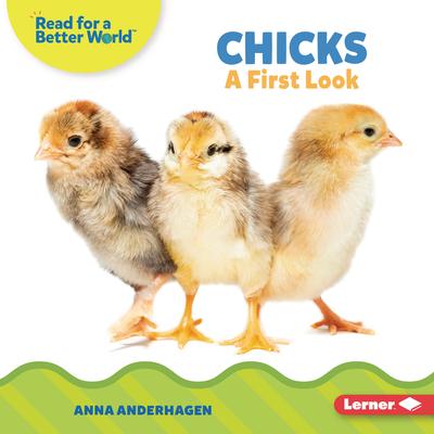 Chicks: A First Look