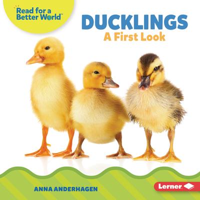 Ducklings: A First Look