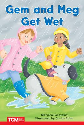 Gem and Meg Get Wet: Level 1: Book 3