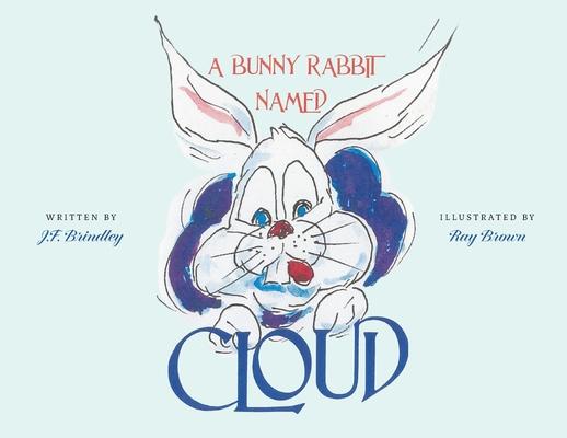 A Bunny Rabbit Named Cloud