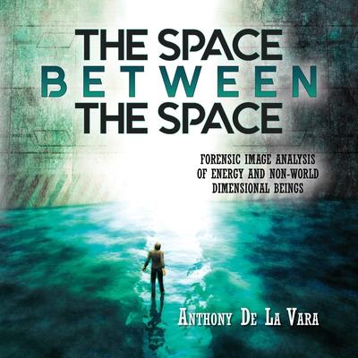 The Space Between the Space: Forensic image analysis of energy and non-World dimensional beings