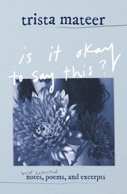 is it okay to say this?: brief collected notes, poems, and excerpts