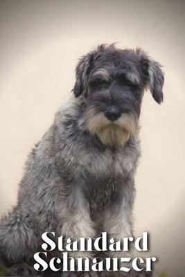 Standard Schnauzer: Dog breed overview and guide