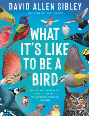 What's It Like to Be a Bird: From Flying to Nesting, Eating to Singing--What Birds Are Doing, and Why Subscription