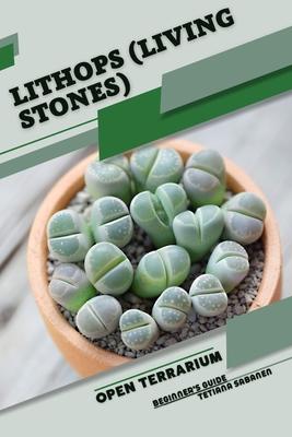 Lithops (Living Stones): Open terrarium, Beginner's Guide