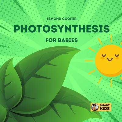 Photosynthesis for Babies: How Plants Make Food!