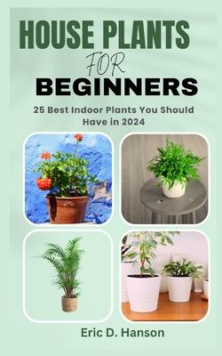 House Plants for Beginners: 25 Best Indoor Plants You Should Have in 2024