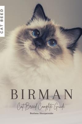 Birman: Cat Breed Complete Guide