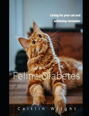 Feline Diabetes: Caring For Your Cat and Achieving Remission