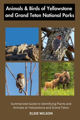 Animals and Birds of Yellowstone and Grand Teton National Parks: Guide to Exploring Animals and Birds of Yellowstone and Grand Teton