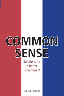 Common Sense: Solutions for Better Government