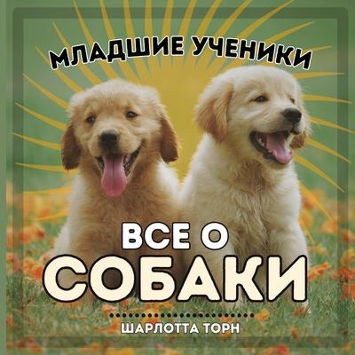 &#1052;&#1083;&#1072;&#1076;&#1096;&#1080;&#1077; &#1091;&#1095;&#1077;&#1085;&#1080;&#1082;&#1080;, &#1042;&#1057;&#1045; &#1054; &#1057;&#1054;&#104