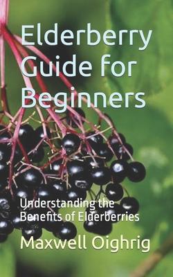 Elderberry Guide for Beginners: Understanding the Benefits of Elderberries