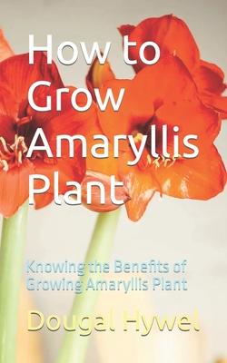 How to Grow Amaryllis Plant: Knowing the Benefits of Growing Amaryllis Plant