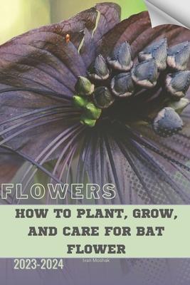 How to Plant, Grow, and Care for Bat Flower: Become flowers expert