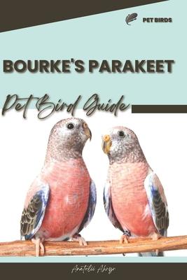 Bourke's Parakeet: Pet bird guide